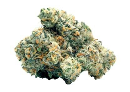 WiFi Widow OG | Flower | 3.5g