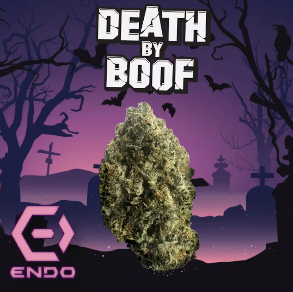 Death By Boof | Buds | 14g by Endo
