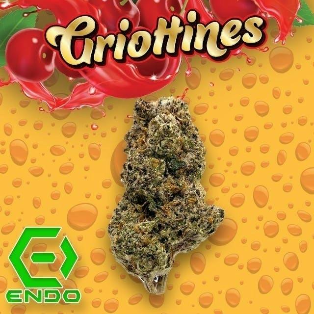 Griottines | Big Buds | 3.5g by Endo