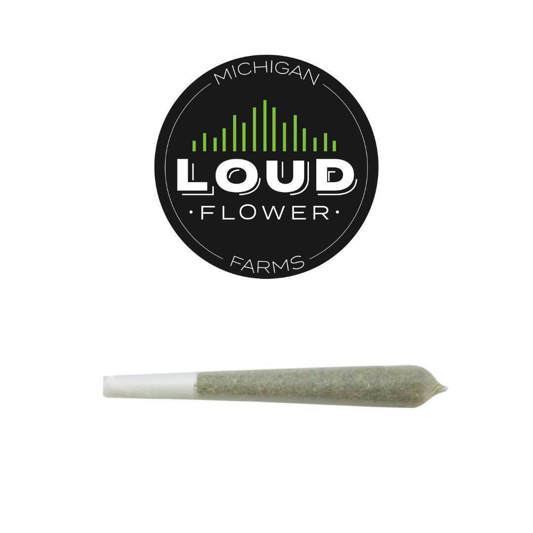 Jar Jar Stinks #21 | Joint | 1g by MI Loud Flower Farms