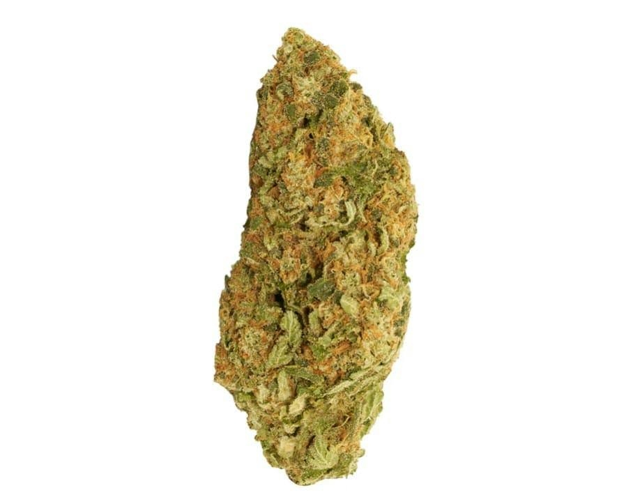 Blueberry Donuts | Flower | 28g