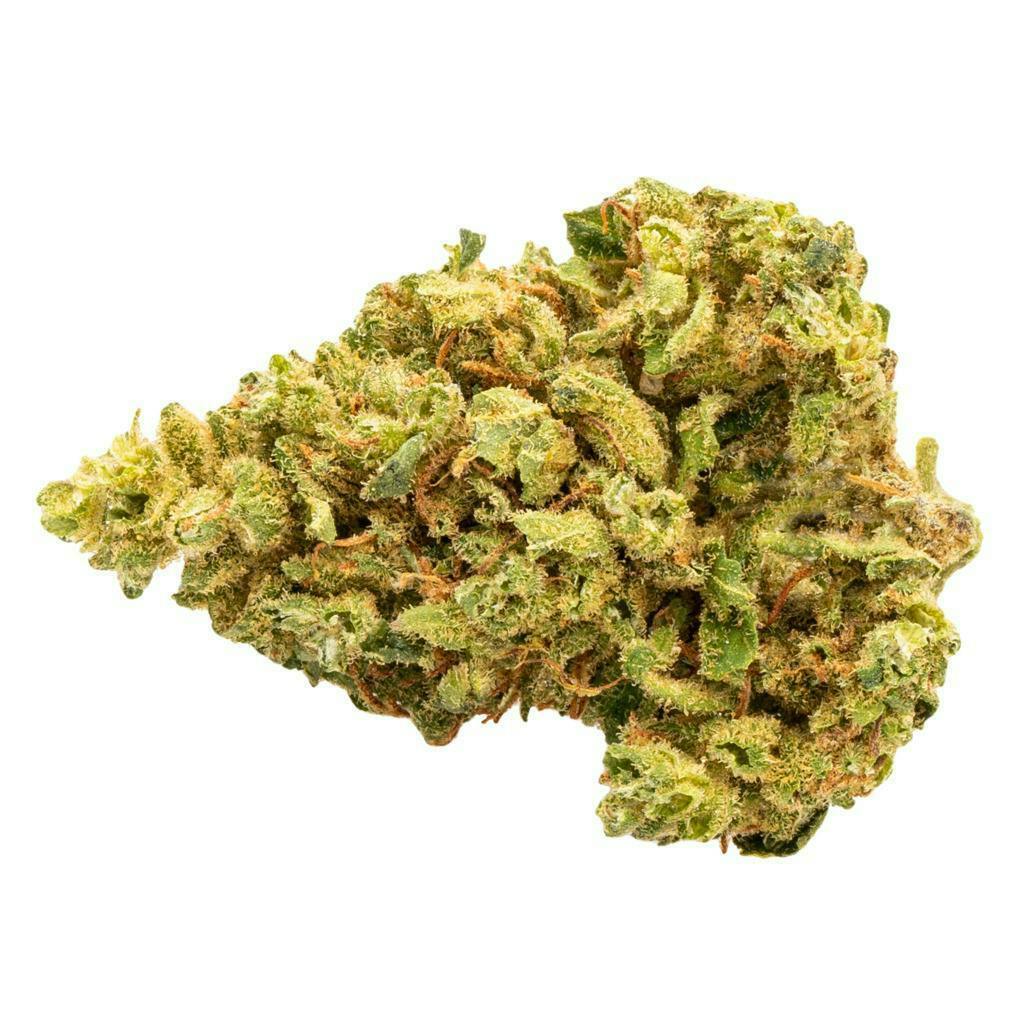 Golden Goat | Flower | 3.5g