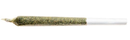 Grower's Choice Indica | Joint | 1g