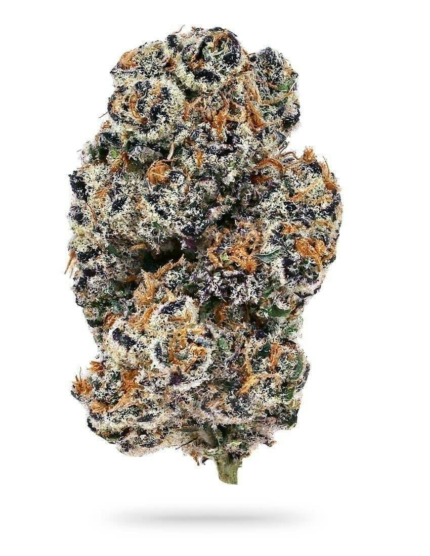 Slap N Tickle | Big Buds | 1g by Distro 10