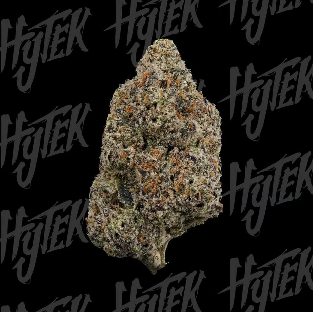 HYTEK | CANDY PEACH PIE | BULK DELI FLOWER by Hytek