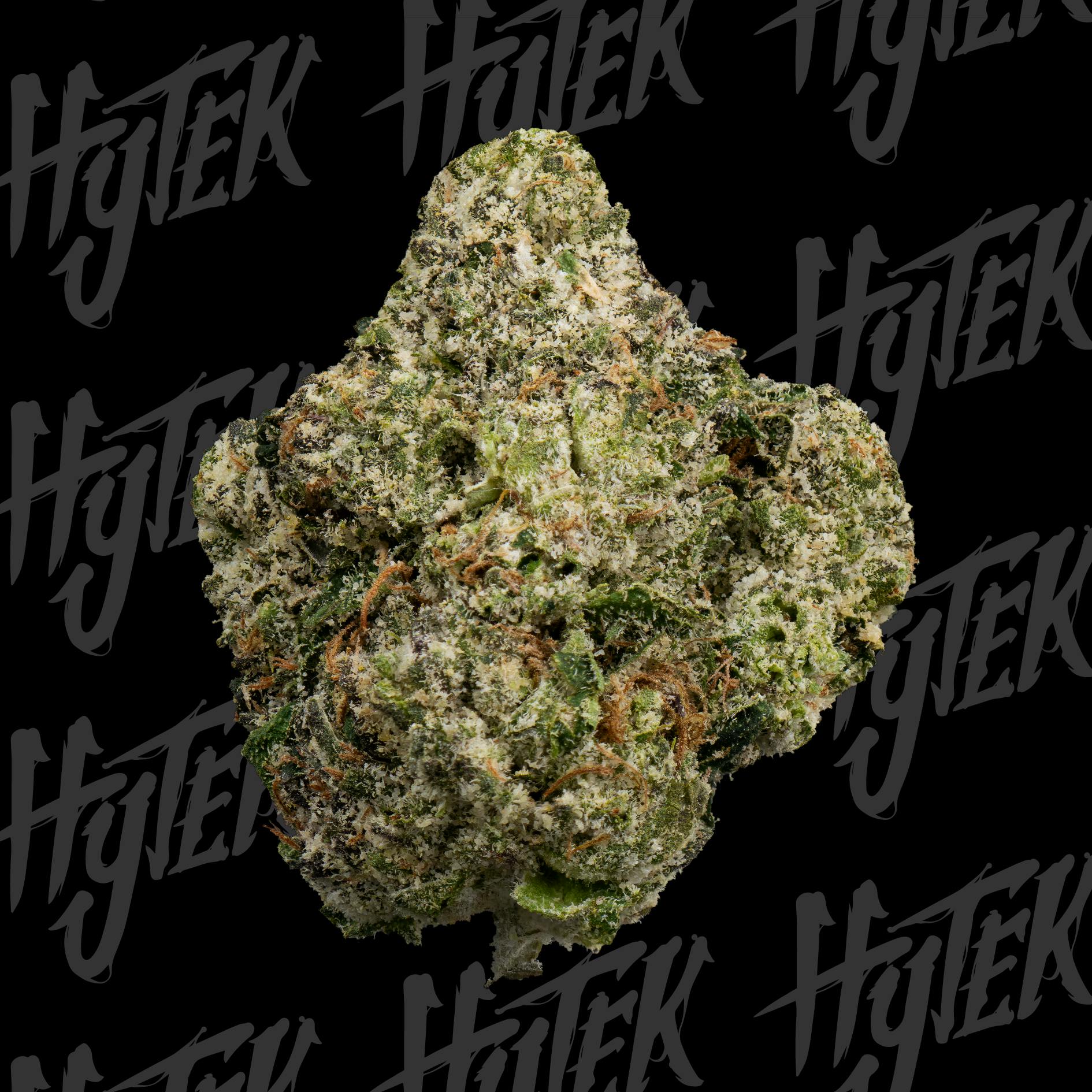 HYTEK | GELATO 33 | BULK DELI FLOWER by Hytek
