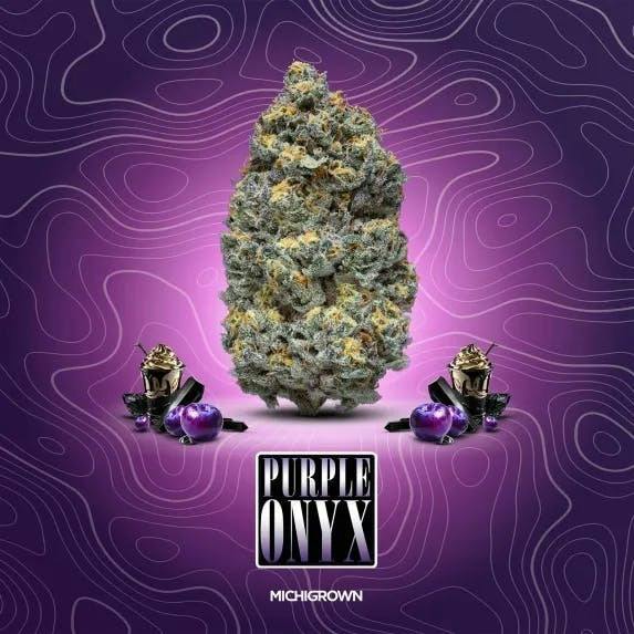 Purple Onyx | Big Buds | 1g by MICHIGROWN