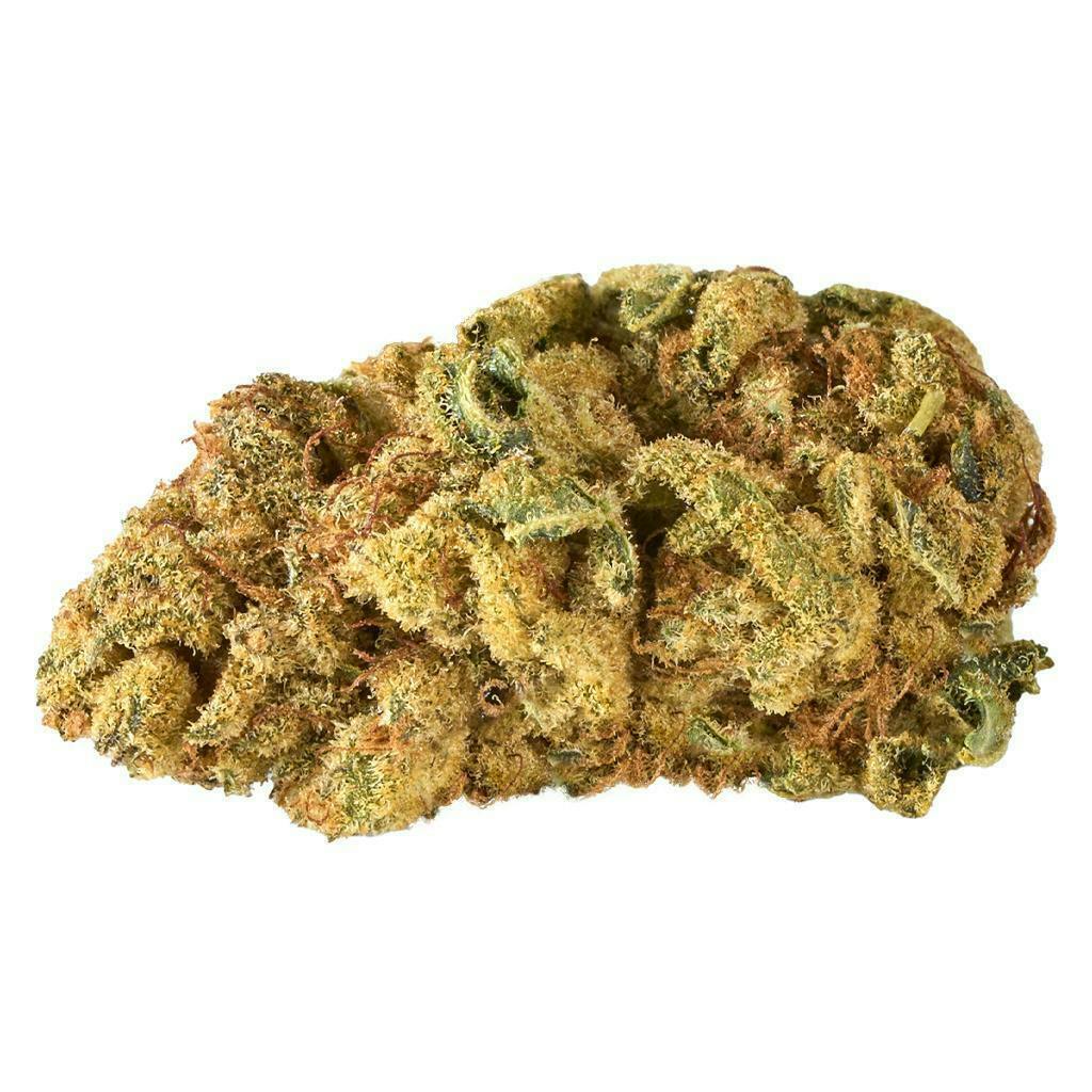 Orange Frosting | Flower | 14g