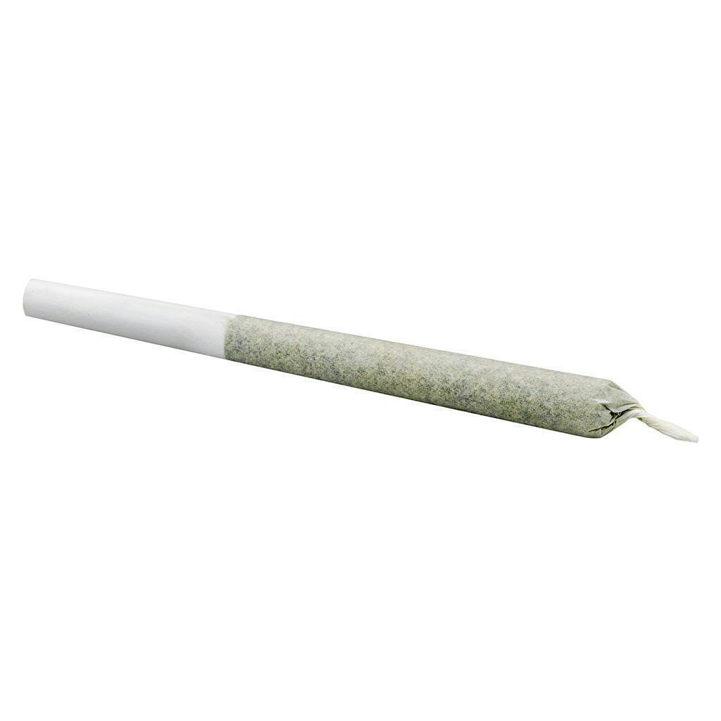 Orange Frosting | Mini Joints | 0.5g each | 14pk