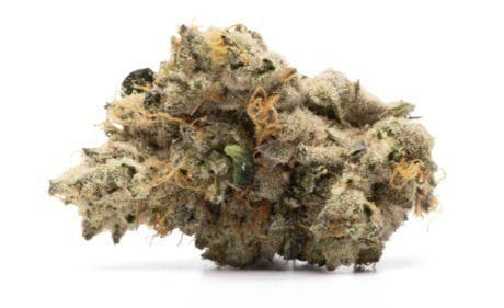 Mochi Melon | Big Buds | 1g