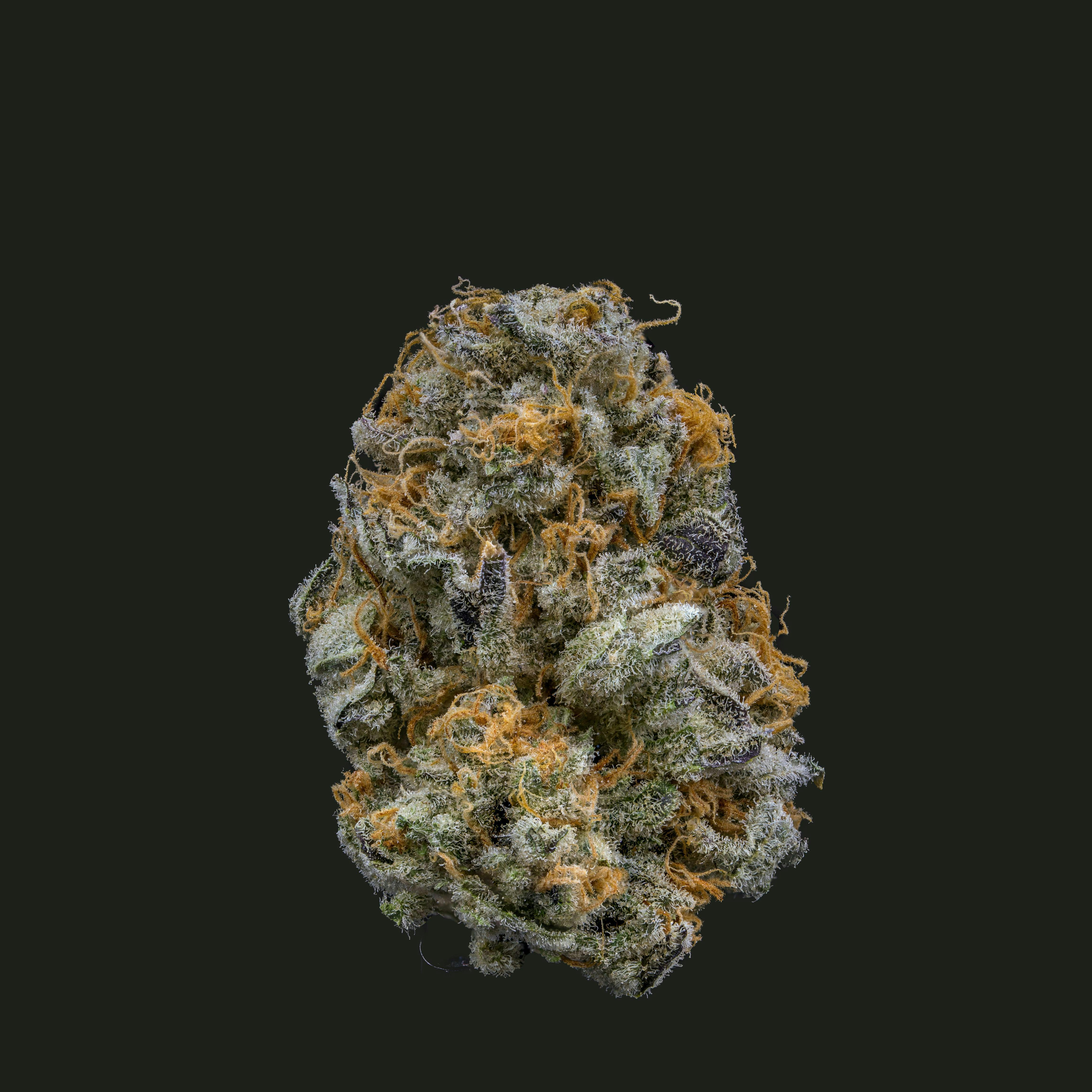 Dante's Inferno | Big Buds | 14g by NOBO