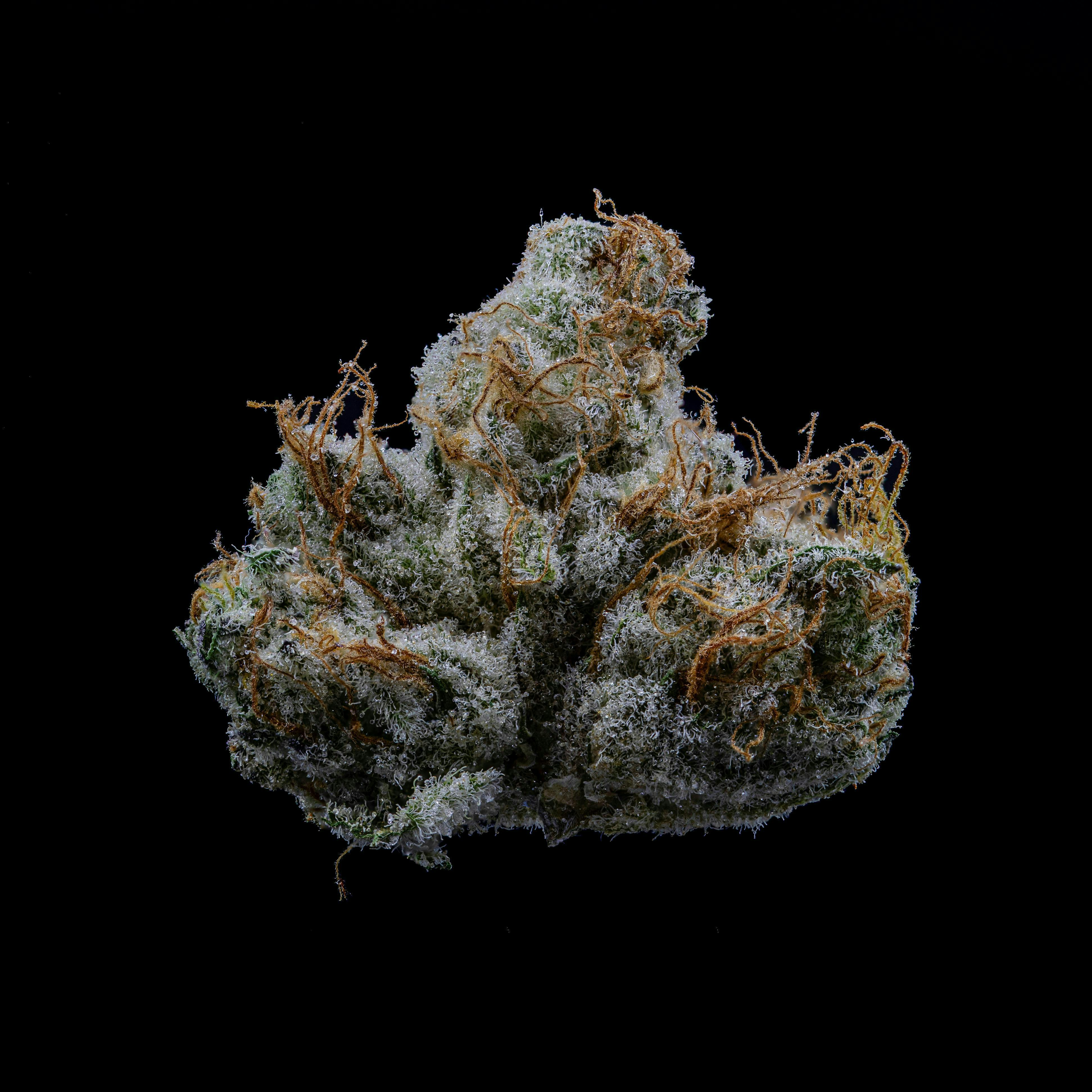 Ice Cream Mints | Big Buds | 14g by NOBO