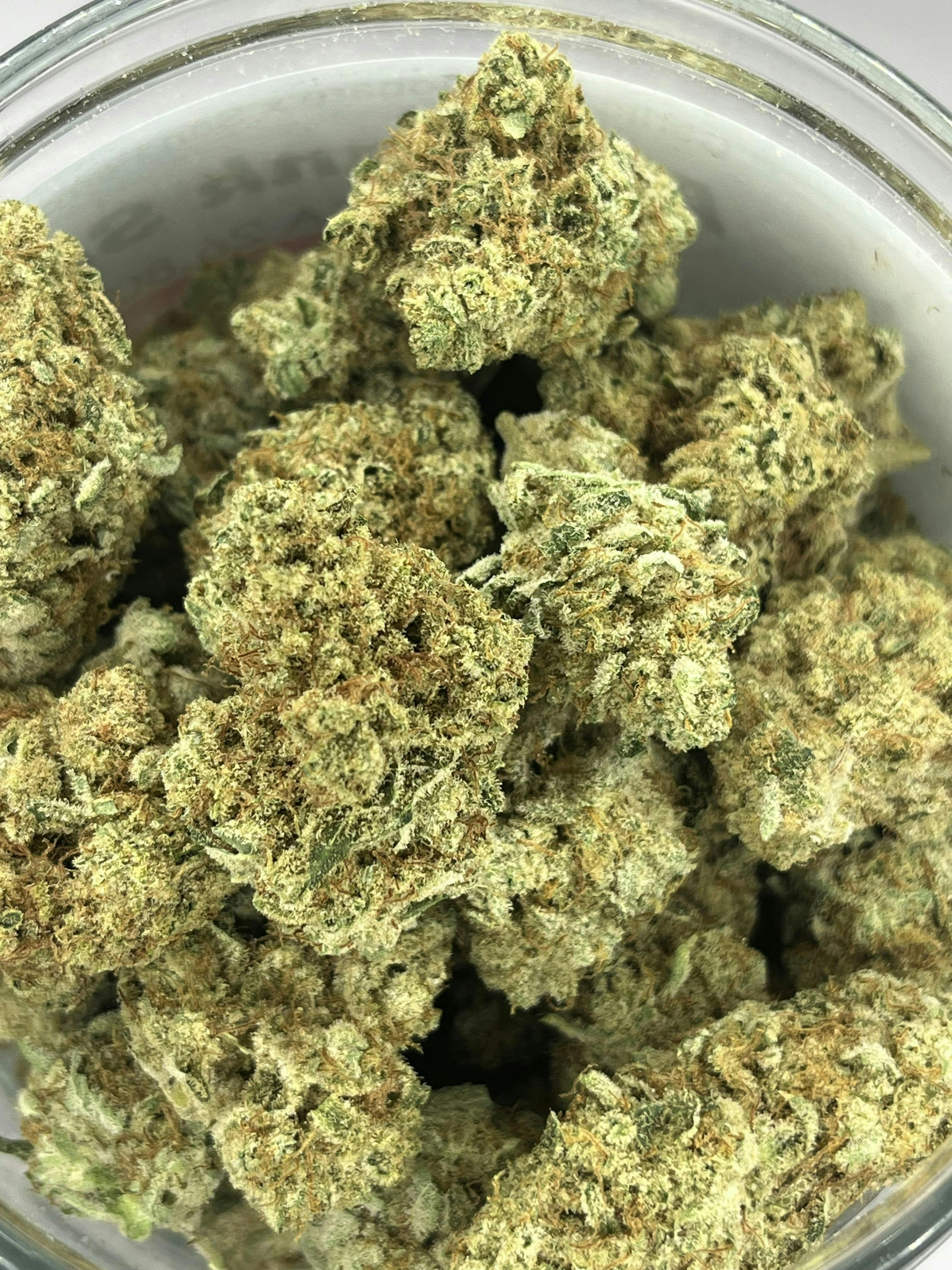 Banana Yeti | Big Buds by NOBO