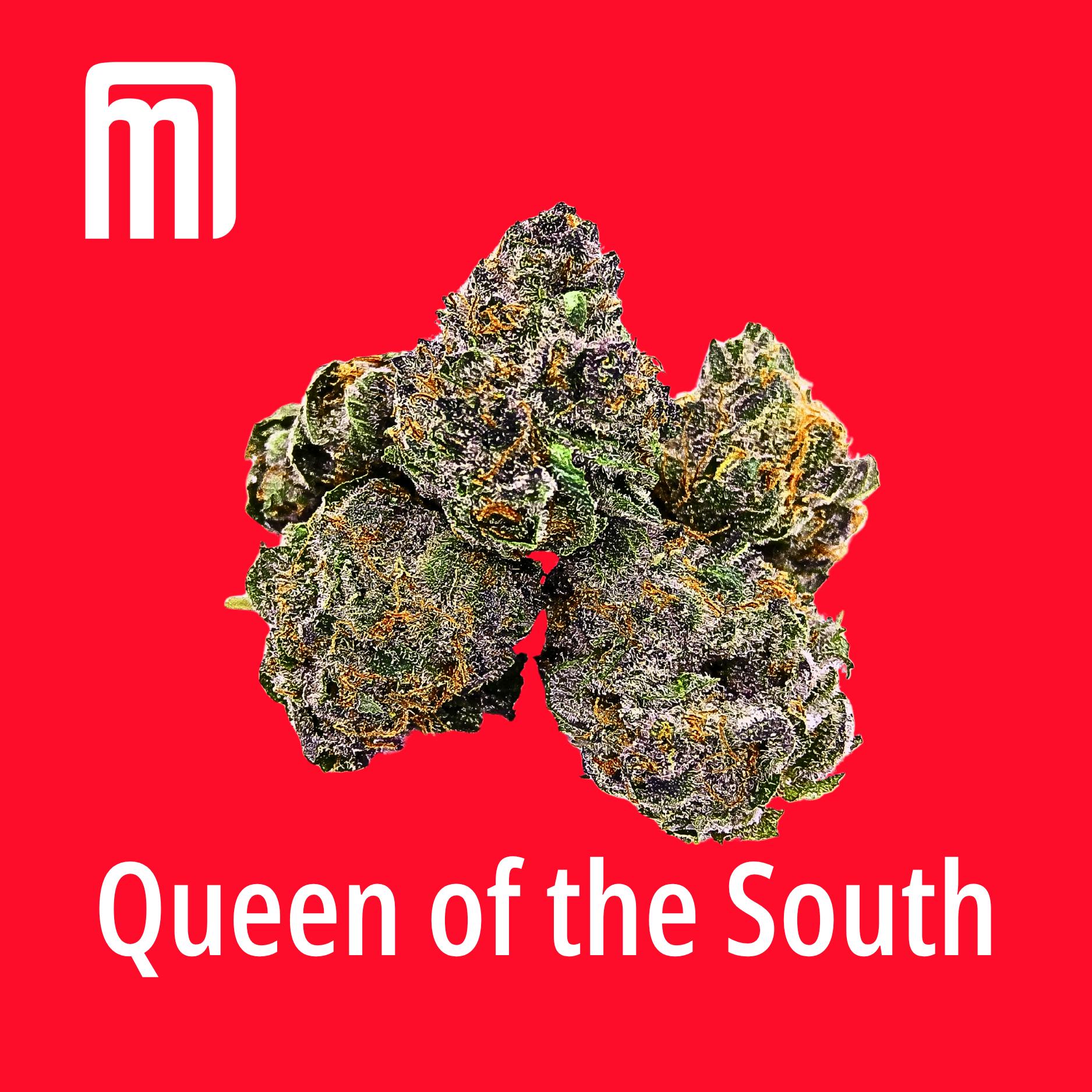 Queen of the South