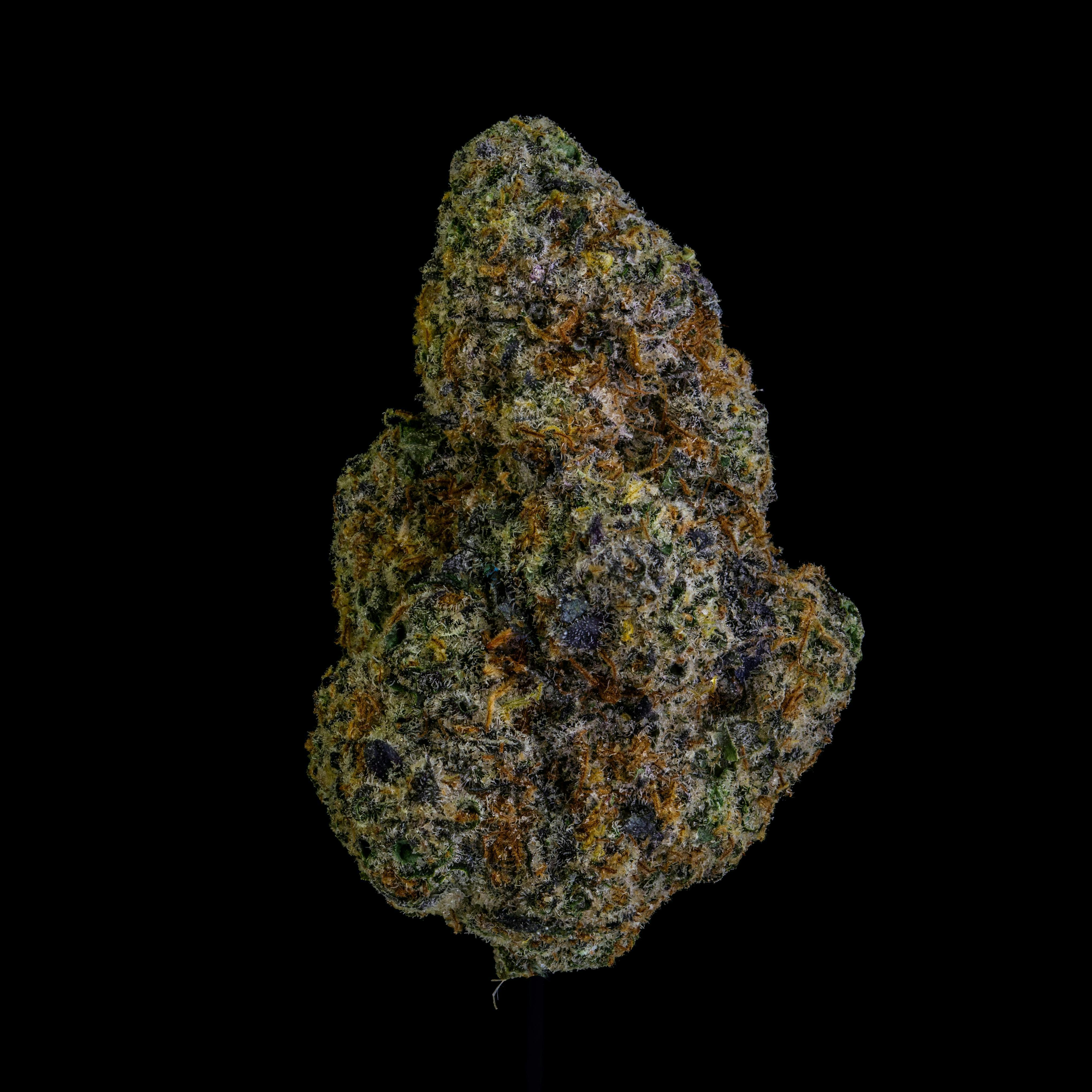 Black Maple | Big Buds | 14g by NOBO