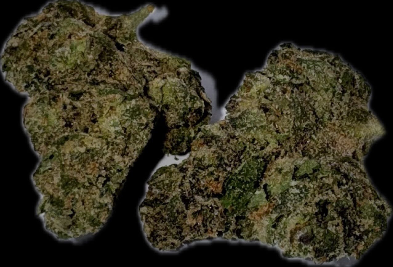 Red Pop | Big Buds by DogHouse Farms