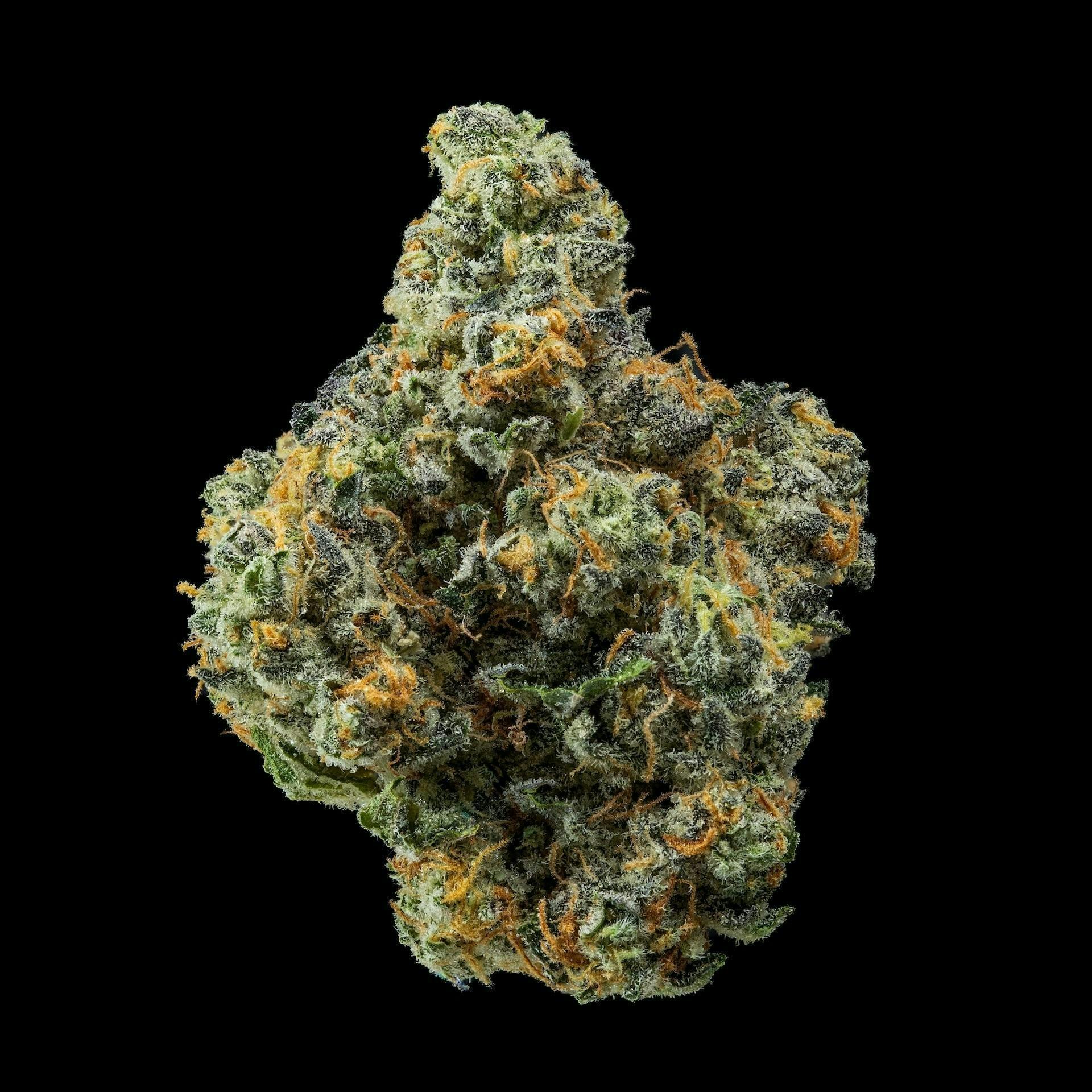 Wedding Fuel | Big Buds | 14g by NOBO