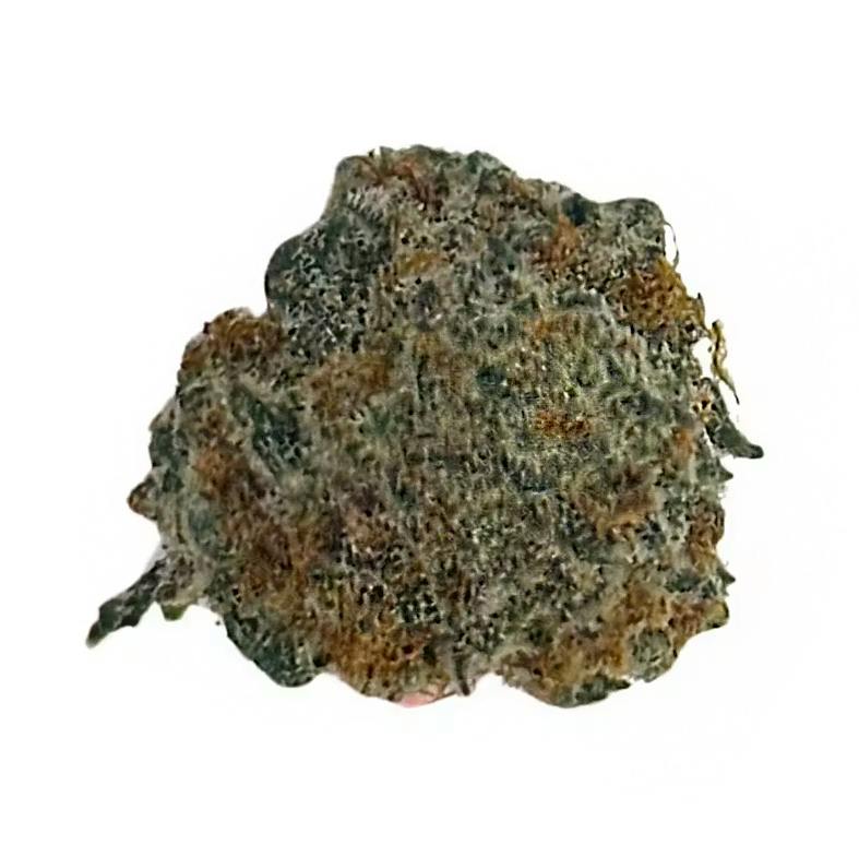 Mac Daddy | Big Buds | 3.5g by LegaSea Farms