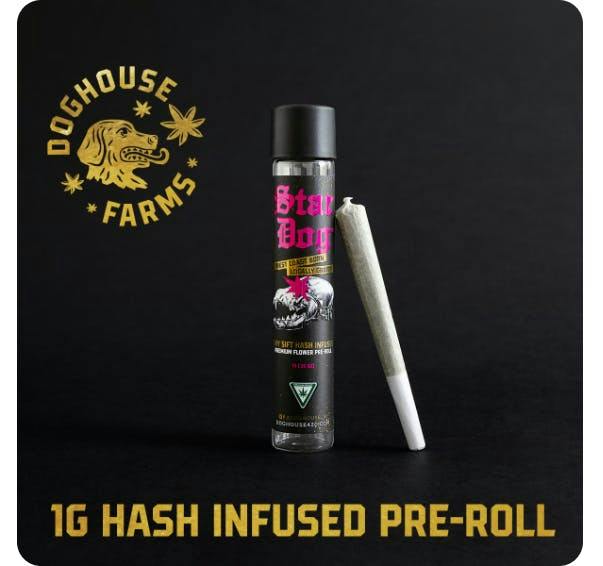Time Out | Infused Pre-roll | 1g by DogHouse Farms
