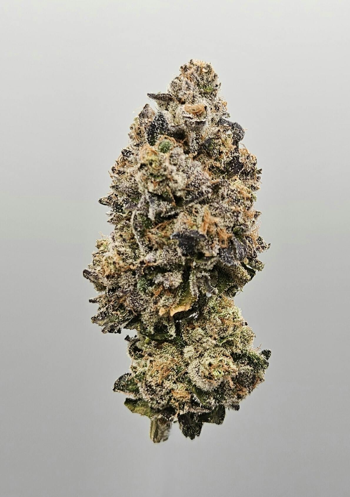 Flower - Private Reserve - Sherb Candiez by Ripple Wellness