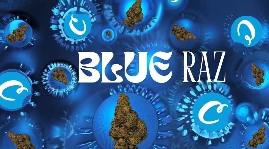 Cookies — Blue Razz