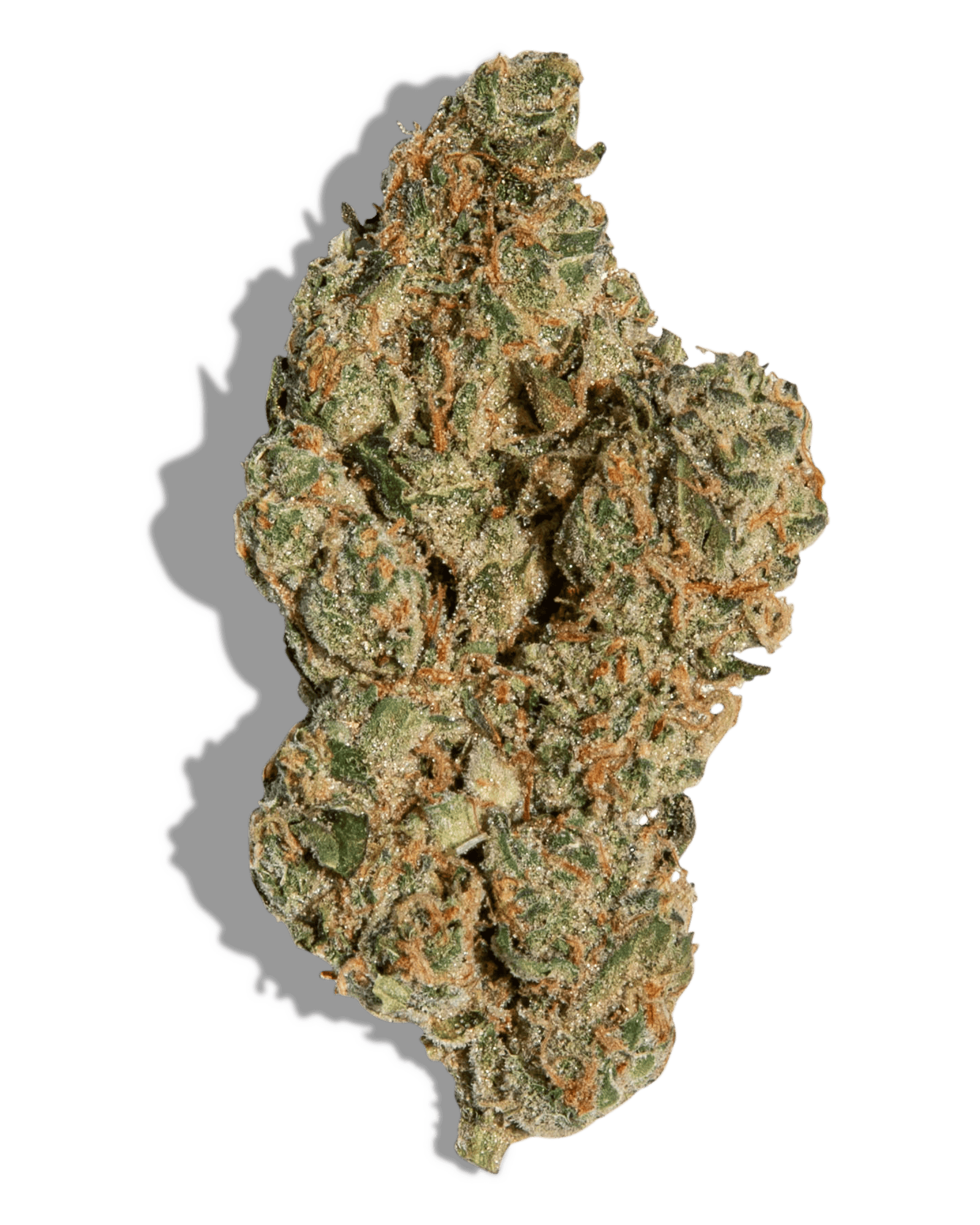 GMO Cookies | Big Buds | 3.5g by Lume Cannabis Co.