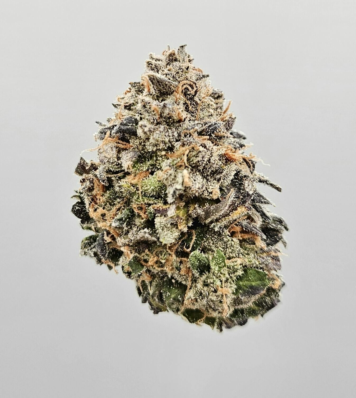 Flower - Private Reserve - Yasss Betchhh by Ripple Wellness