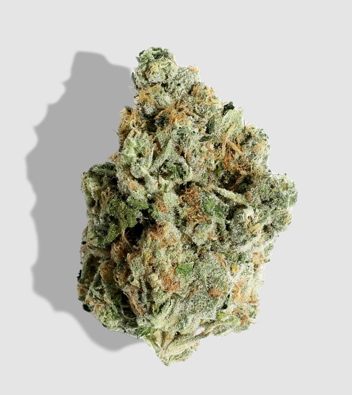 Squeezy Does It | Big Buds | 3.5g
