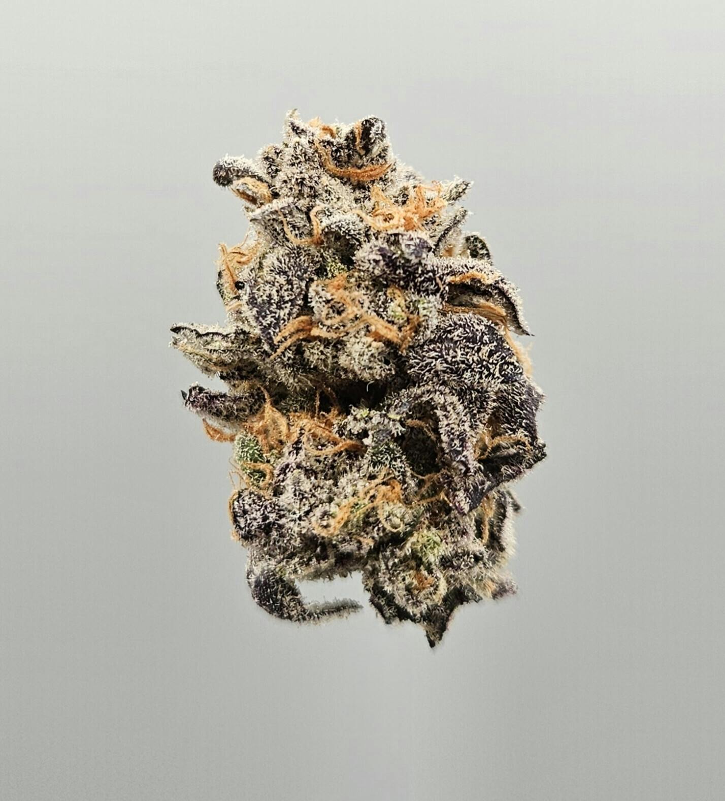 Flower - Private Reserve - Melon Crackerz by Ripple Wellness