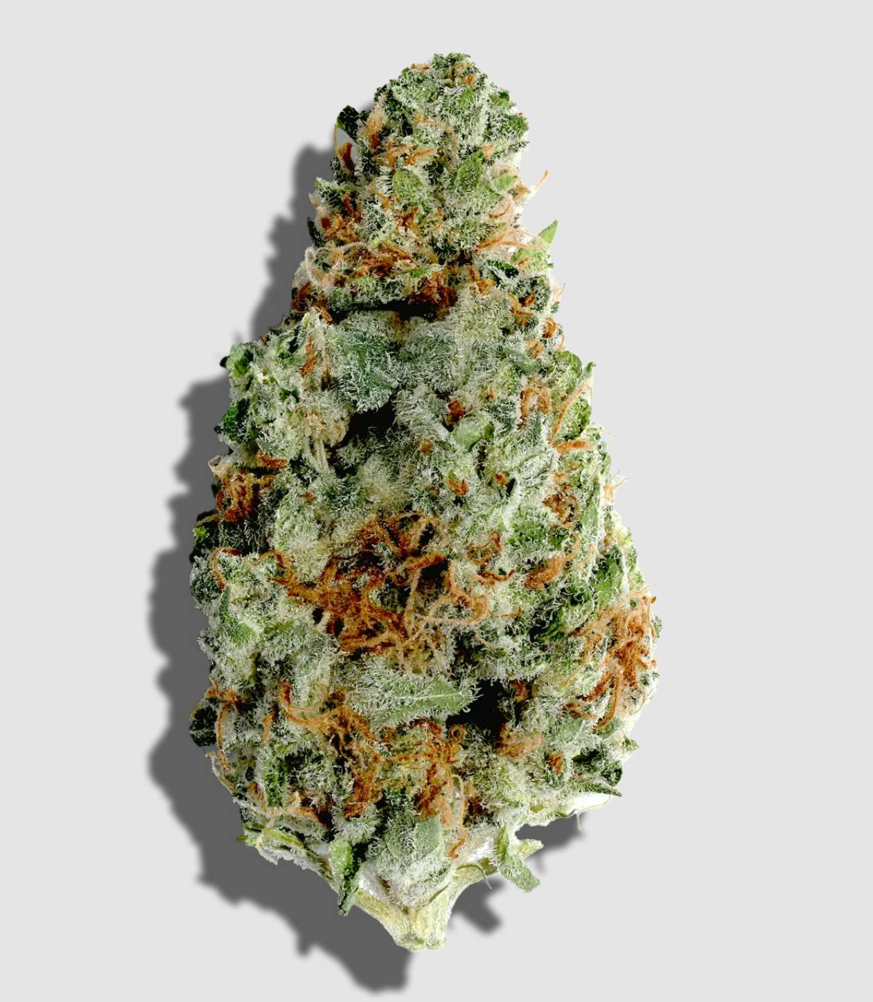 Tamarindo | Big Buds | 3.5g by Lume Cannabis Co.
