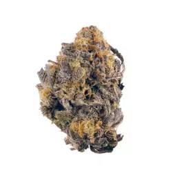 Gas Money | Flower by Pegasus Green