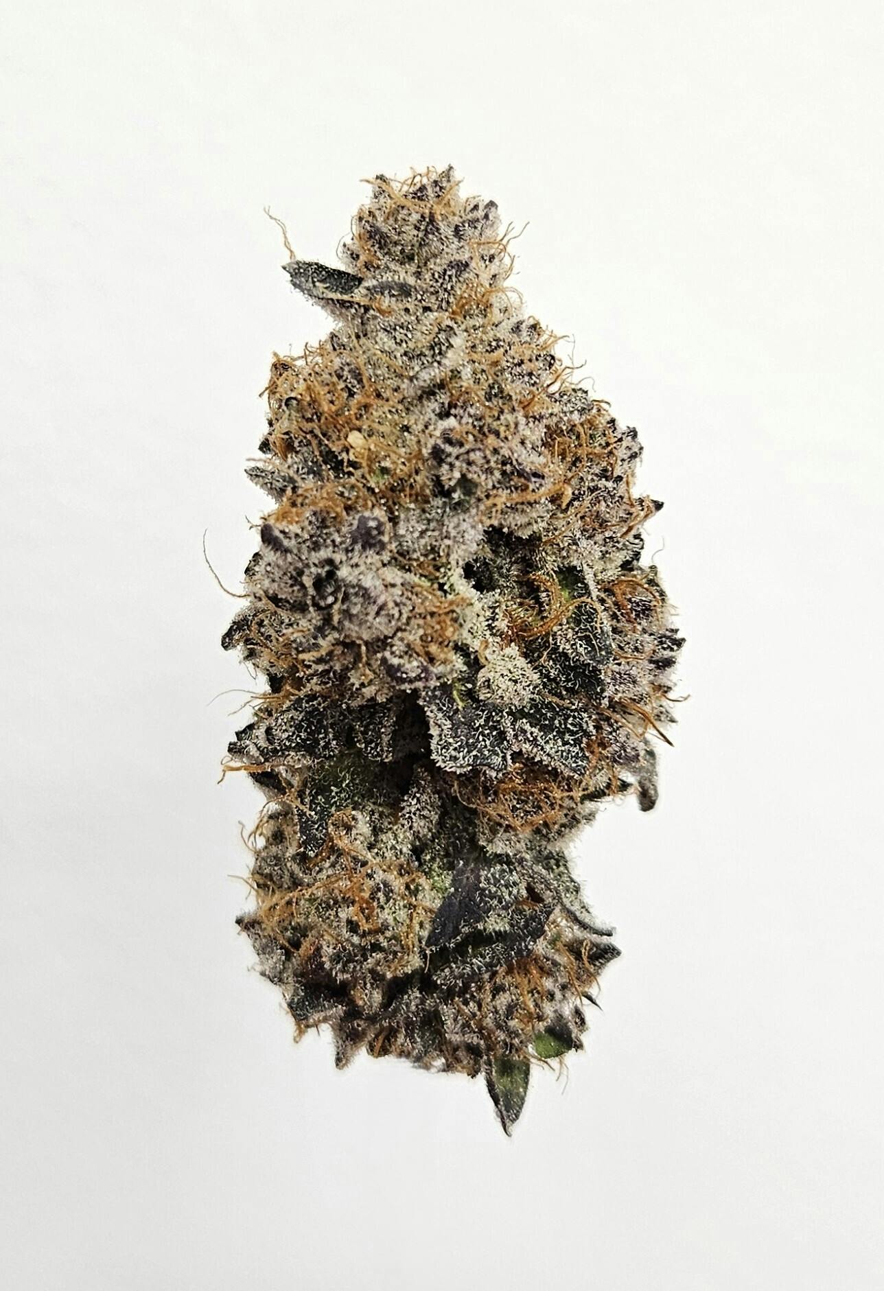 Flower - Private Reserve - Cherry Paloma by Ripple Wellness