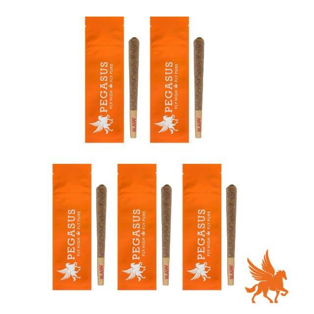 Sunday Brunch | Joints | 1g each | 5pk by Pegasus Green