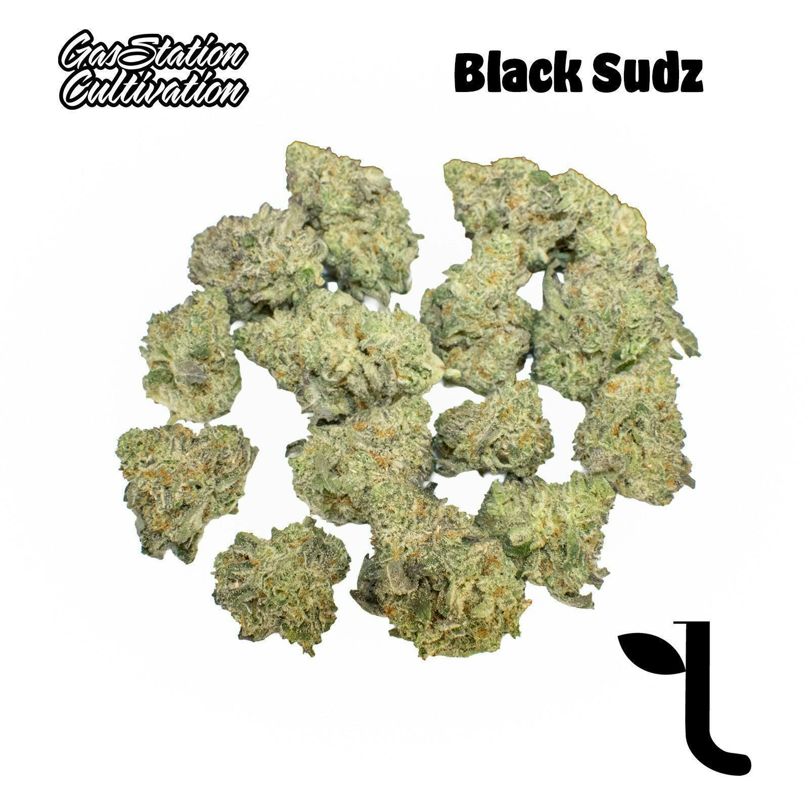Black Sudz | Big Buds | 14g