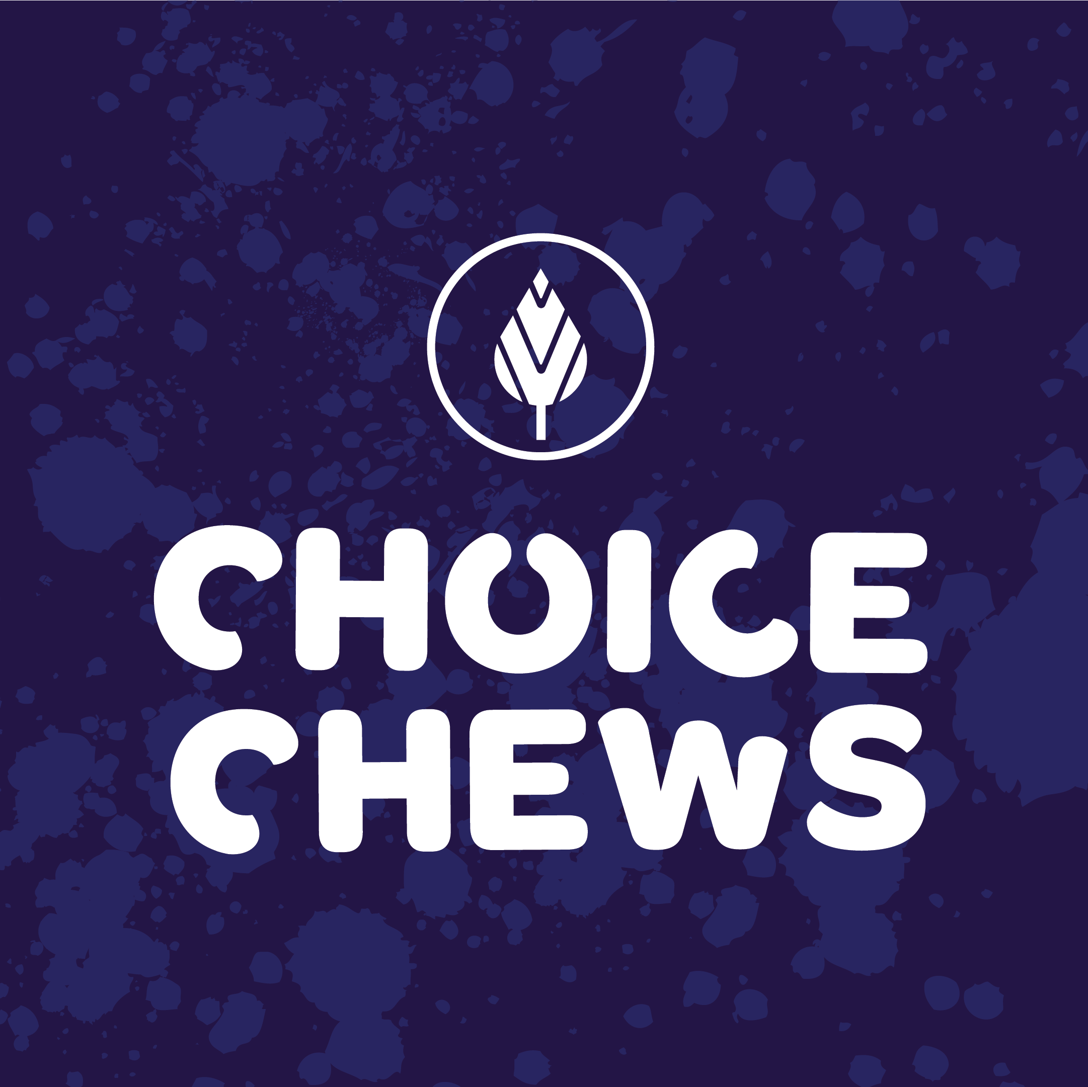 Dorks Nerd Clusters | Wizardly Watermelon | Edibles | 200mg by Choice Chews