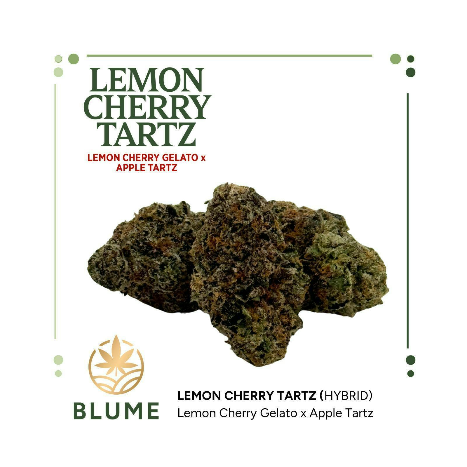 Lemon Cherry Tartz | Big Buds | 28g