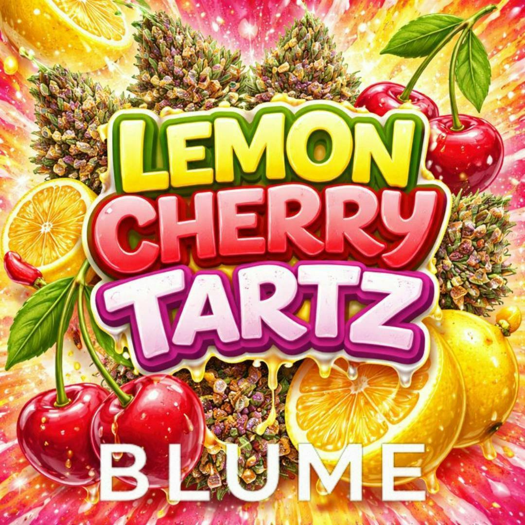 Lemon Cherry Gelato | Big Buds | 3.5g