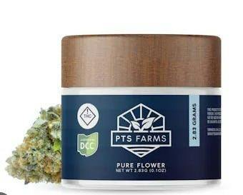 Garlic OG | Big Buds by PTS