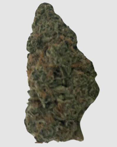 Gushers