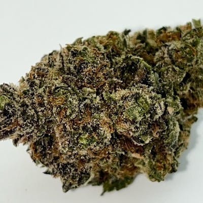 Blueberry Muffin | Big Buds | 3.5g