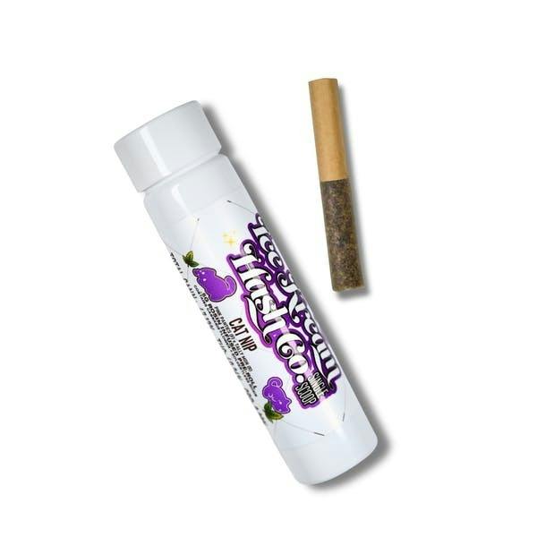 Cat Nip | Single Scoop Rosin Infused Mini | 0.5g by Ice Kream Hash Co.