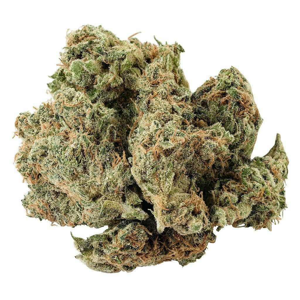 Tranquil Elephantizer | Big Buds | 3.5g