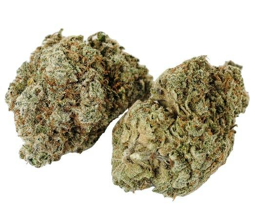 Sticky Monkey | Big Buds | 3.5g