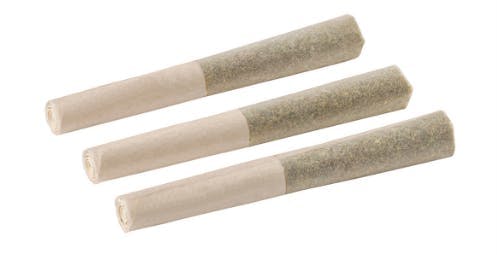 Live Rosin Sticks | Infused Minis | 0.5g ea | 3pk