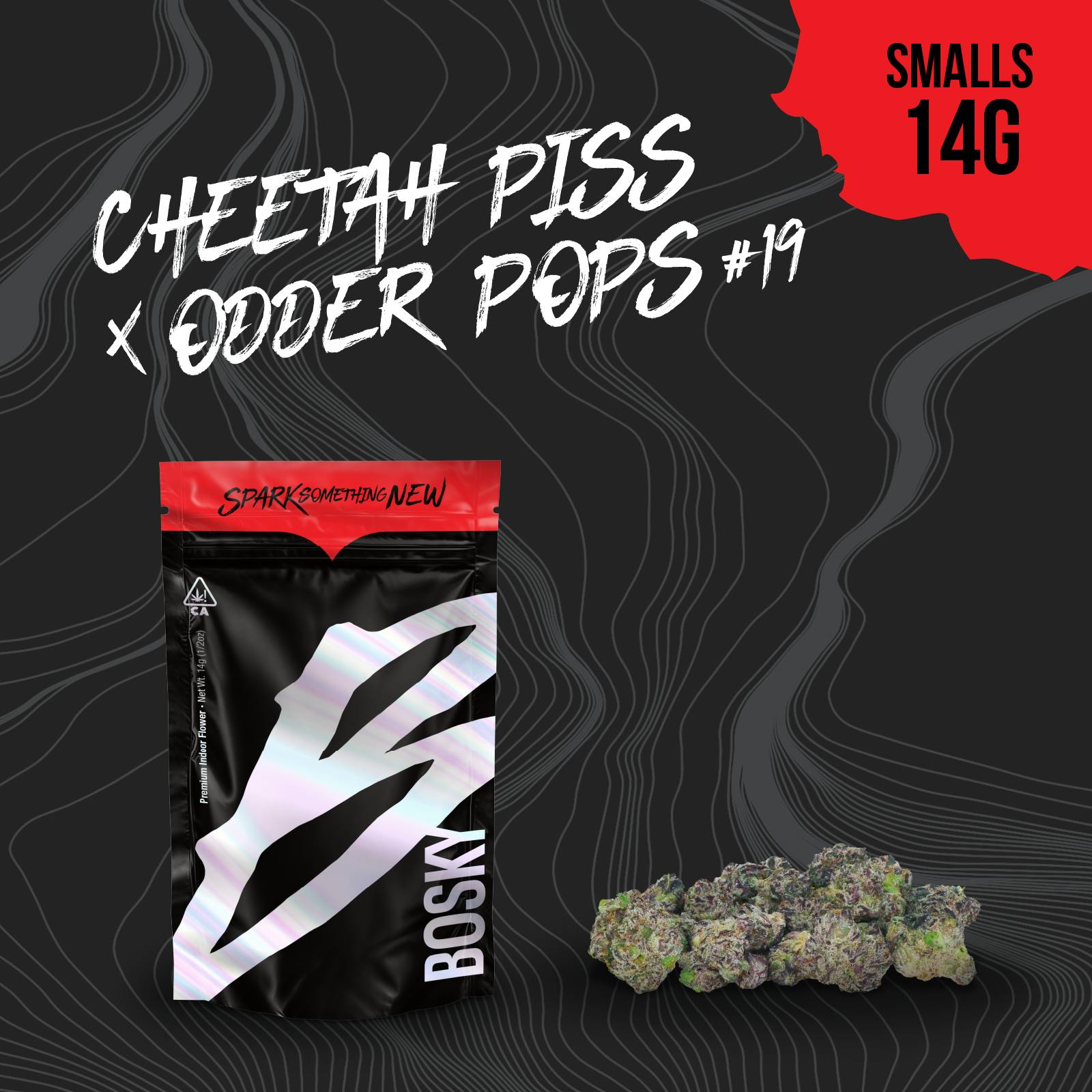 Bosky Genetics: Cheetah Piss X Odder Pops #19