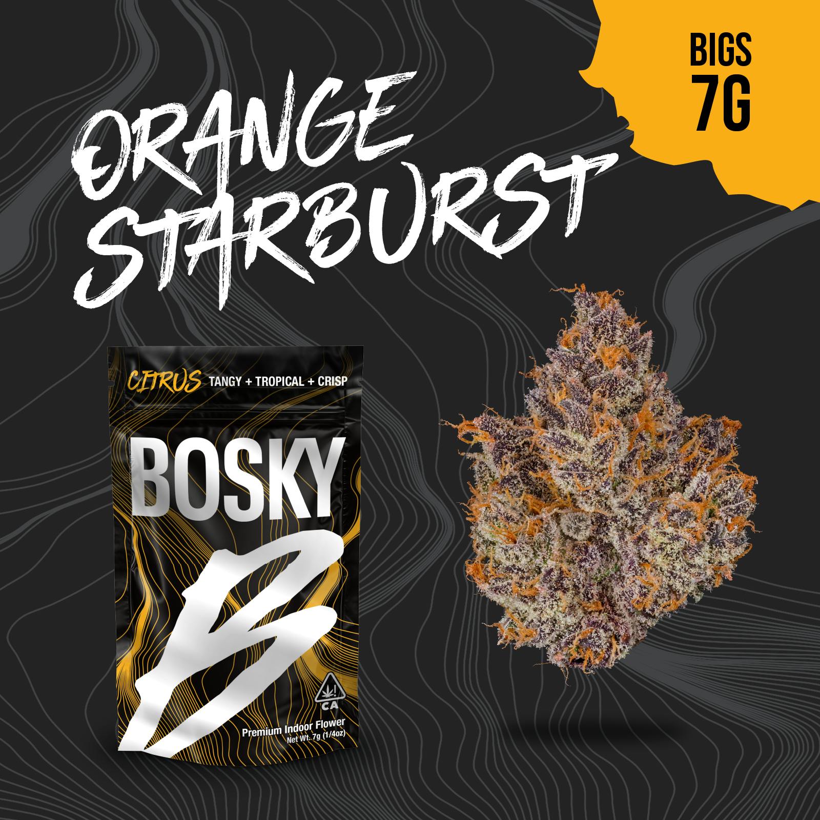 Bosky Genetics: Orange Starburst