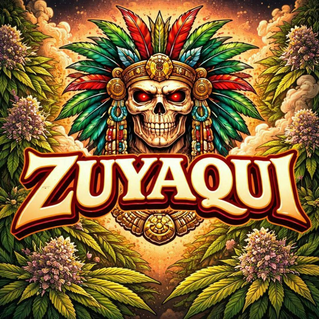 Zuyaqui | Big Buds