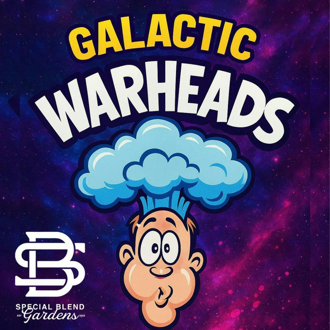 Galactic Warheads | Big Buds