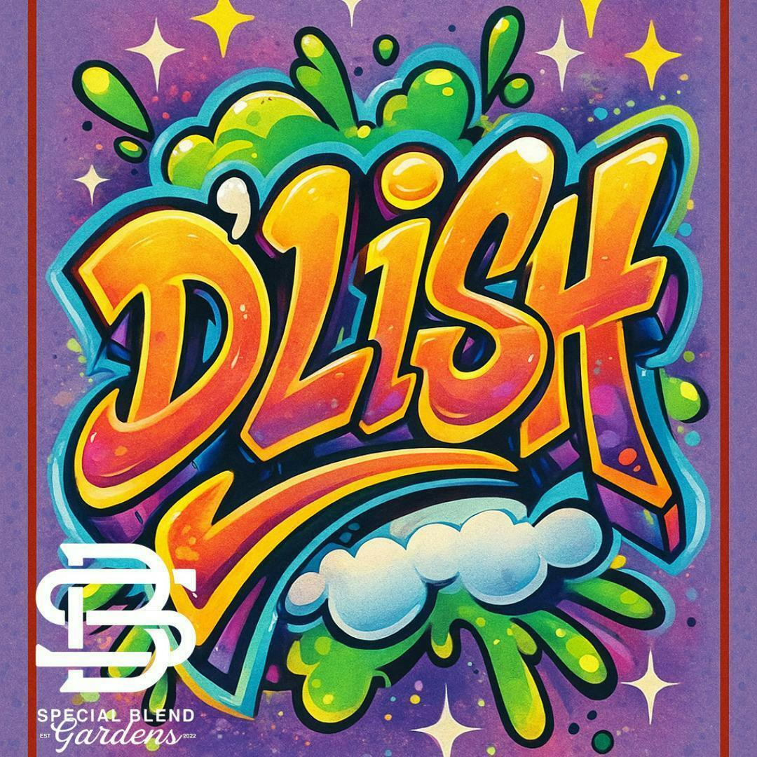 D'Lish | Big Buds