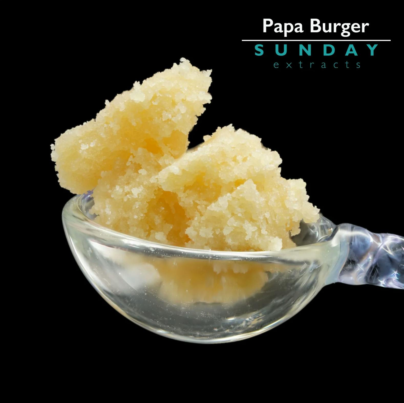Papa Burger